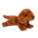 Douglas Toys -  Delanie Soft Dachshund