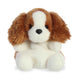 Lady Spaniel