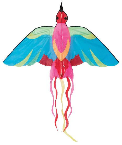 Aujourd Hui Cest Mercredi - Bird Kite