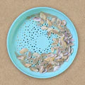 Flying Disc / Sand Sifter - Blue