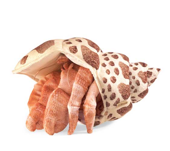 Hermit Crab