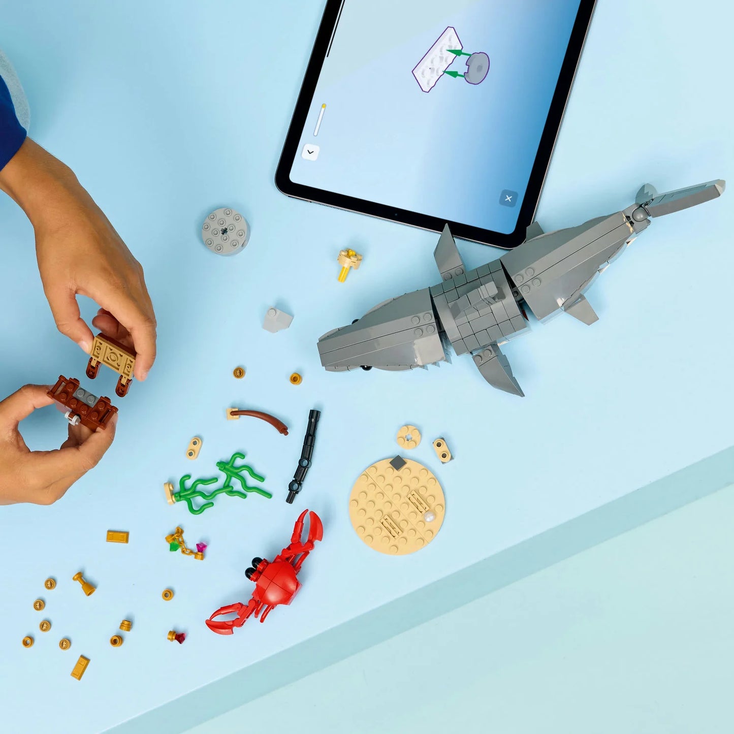Lego: Fierce Shark with a Treasure Chest