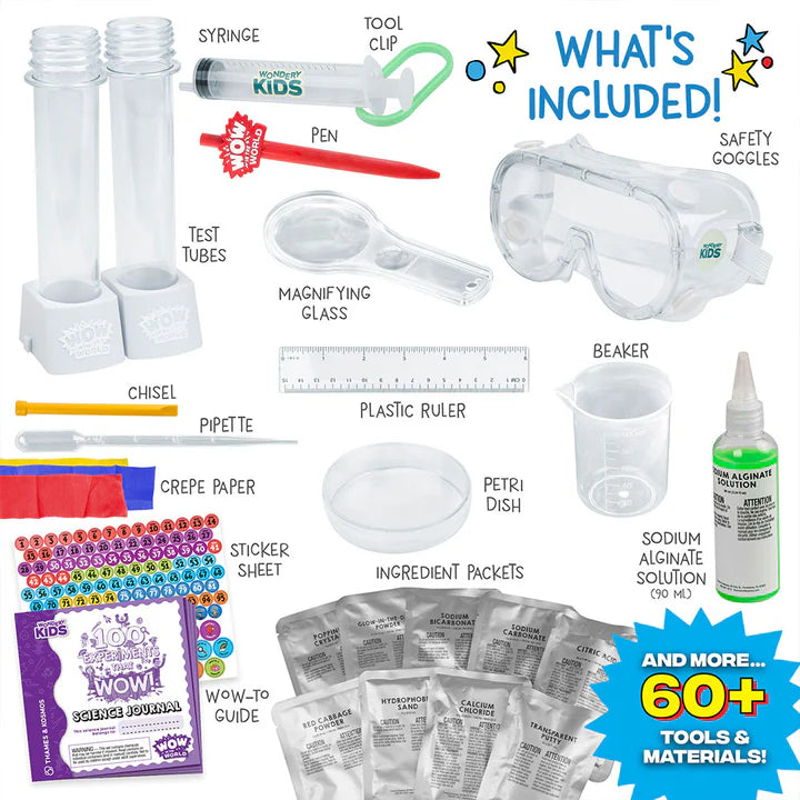 Wow in the World: 100 Experiments That WOW!