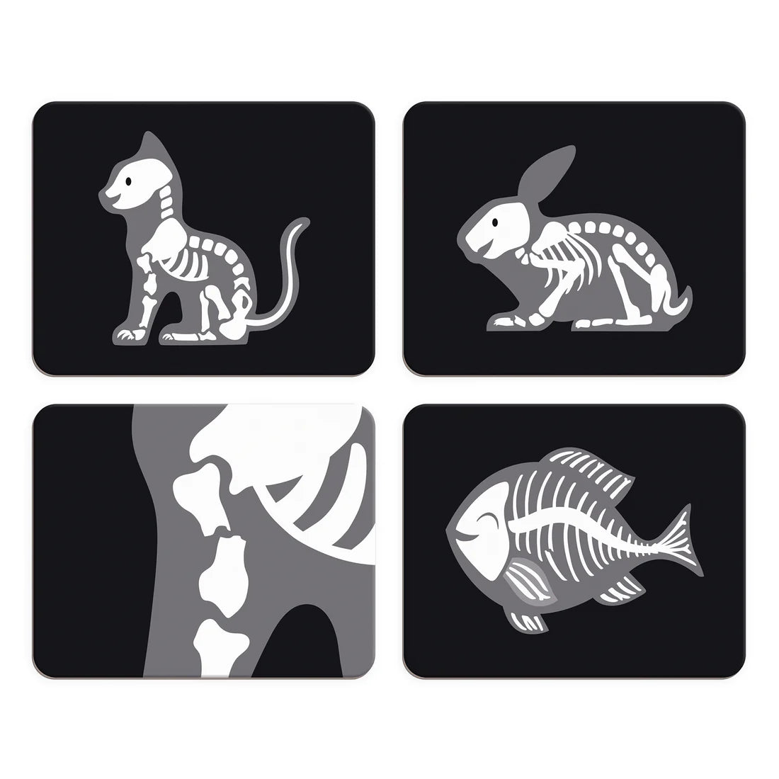VETERINARY SUITCASE