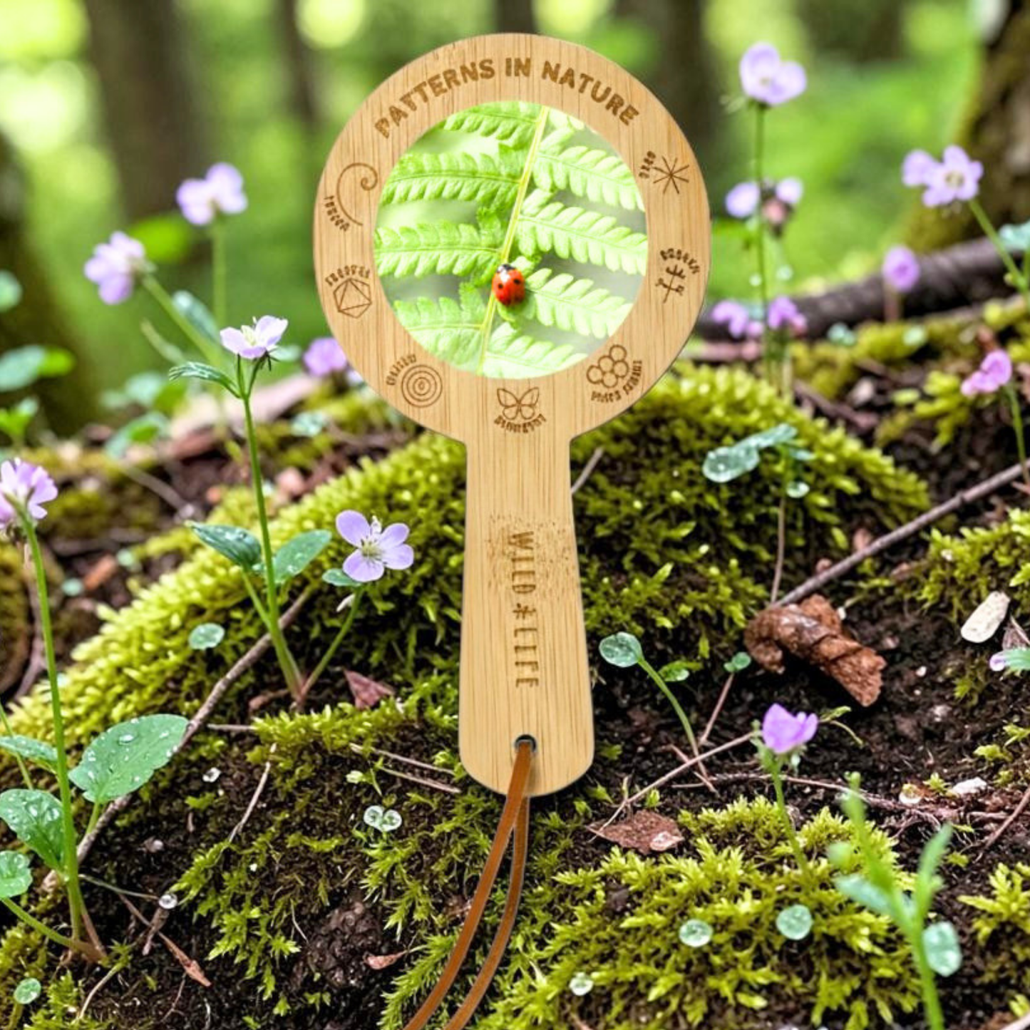 Kids Magnifying Glass – Eco Bamboo 5x Nature Tool