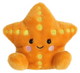 Palm Pals - Treasure Starfish