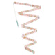 Gymnastic ribbon / Stella