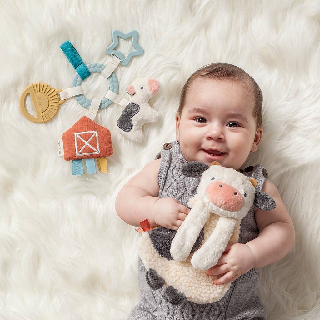*New Option* Bitzy Busy Ring™ Teething Activity Toy