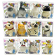 So Much Fun! Squishy Pet