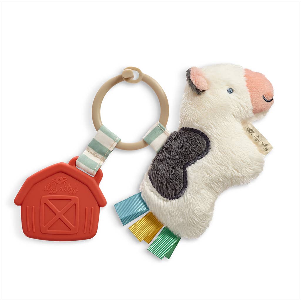 Itzy Pal™ Plush + Teether