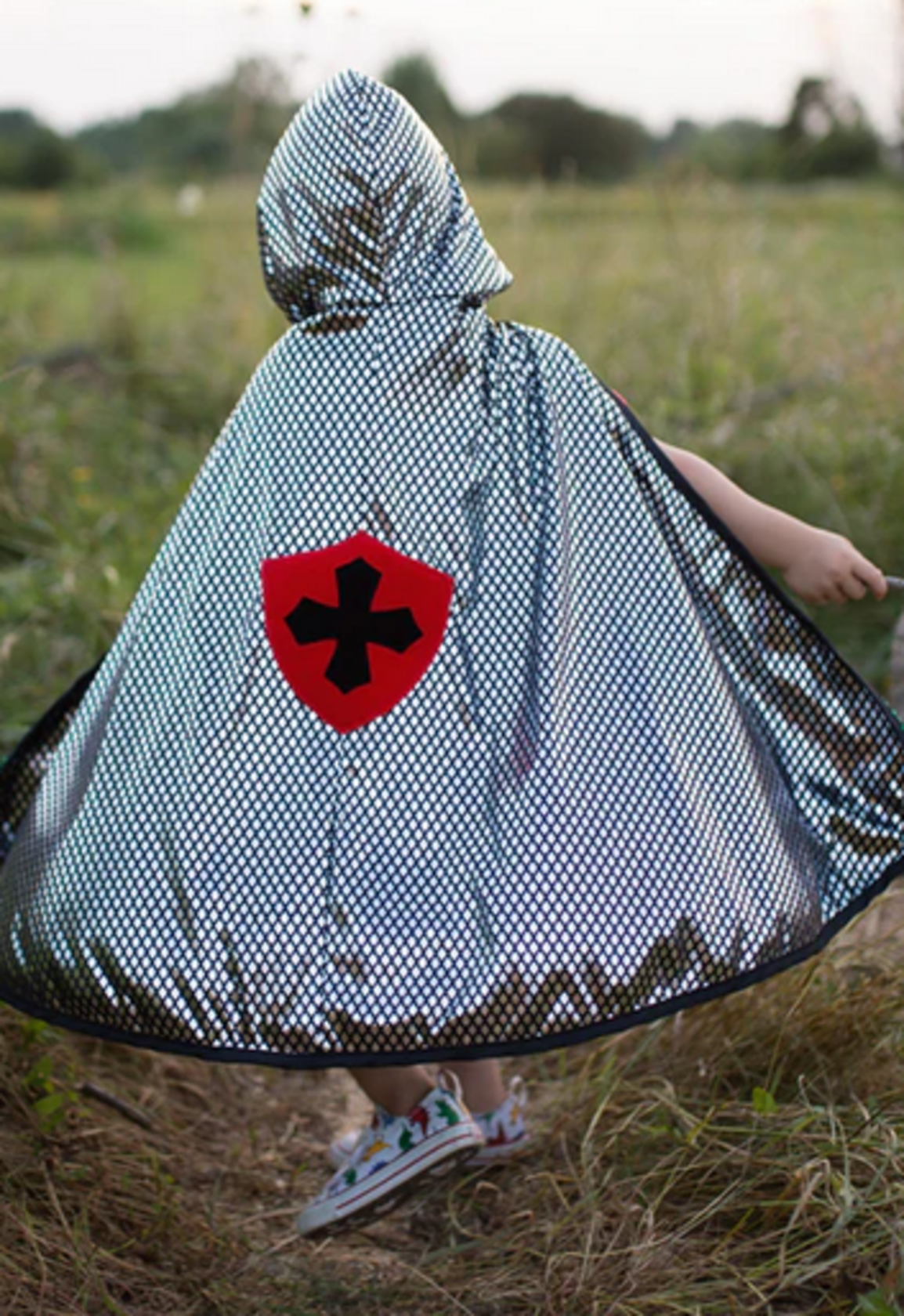 Great Pretenders - Reversible Dragon Knight Cape