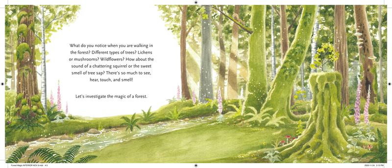 Forest Magic A Guidebook for Little Woodland Explorers