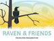 Raven and Friends A Roy Henry Vickers Colouring Book for Kids