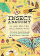 Insect Anatomy The Curious World of Bees, Beetles, Butterflies, and Bugs Anatomy