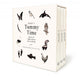 Baby's Tummy Time Book Box Set A 3-Book Box Set of High-Contrast Art